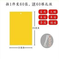 诱虫板蔬菜大棚粘虫板灭小飞虫特粘双面粘虫板茶园花果树粘虫黄板|20*10覆膜黄板60张