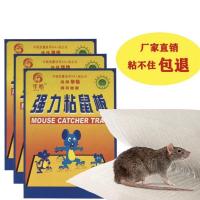 一窝端灭鼠器粘强力灭鼠老鼠贴家用粘鼠板老鼠贴厂家老鼠板粘|3张粘鼠贴(粘性)体验装