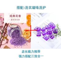 三合一洗衣超浓缩持久留香珠去污除菌洗衣服神器|浪漫紫香洗衣+熏衣草香留香珠 【洗衣克+留香珠克】