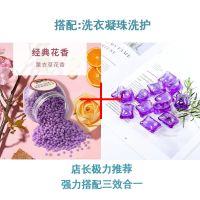 三合一洗衣超浓缩持久留香珠去污除菌洗衣服神器|浪漫紫香洗衣+熏衣草香留香珠 单品【留香珠200克】瓶装