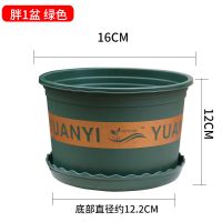 新款不漏土塑料花盆绿萝月季多肉种植耐晒耐冻耐摔自带网底加仑盆|16#矮胖1号口径16厘米[10个] 绿色[配含托盘]