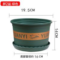 新款不漏土塑料花盆绿萝月季多肉种植耐晒耐冻耐摔自带网底加仑盆|20#矮胖2号口径19厘米[3个装] 绿色[配含托盘]