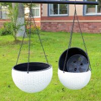 吊篮绿萝花盆悬挂懒人塑料自吸水花盆阳台室内绿萝加厚树脂花盆|白色 款带隔水网+链子21cm