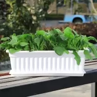 长方形塑料花盆阳台种菜盆家庭蔬菜种植箱加厚树脂特大种菜养花盆|白色+托盘 中号长43CM[4个装]