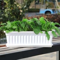 长方形塑料花盆阳台种菜盆家庭蔬菜种植箱加厚树脂特大种菜养花盆|白色+托盘 中号长43CM[5个装]