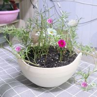 吊兰花盆塑料加厚佛珠盆垂吊盆悬挂式吊篮盆绿萝花盆栽挂花装饰盆|米色6个【送链子+塞子+隔板】 大号【口径24cm】