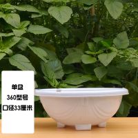 特料吊兰花盆绿萝专用花盆自动吸水懒人盆储水垂吊盆|360哑白5个装 花盆+透明罩+棉绳