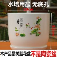 树脂花盆加厚带托盘大号塑料兰花盆家用绿萝多肉水培小植物盆|荷无孔可水培(送托盘) 4号(口径18cm)1个