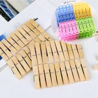 加厚晒衣夹防风夹内衣袜子晾衣夹塑料竹夹子夹衣服夹子衣服|塑料夹子20+竹夹子20