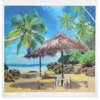 浴室衣服置物架可折叠壁画衣服收纳柜小卫生间收纳神器免打孔壁挂|三维海岛35x 35