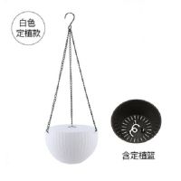 吊兰绿萝花盆塑料垂吊挂盆中等专用悬挂吊盆吊篮花盆自动吸水|白色带定植篮款(带内胆) 中(直径21CM)