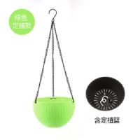 吊兰绿萝花盆塑料垂吊挂盆中等专用悬挂吊盆吊篮花盆自动吸水|绿色带定植篮款(带内胆) 中(直径21CM)
