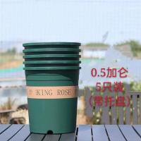 阳台种植塑料花盆1加仑盆2加仑盆种菜种花盆玫瑰月季深口花盆|0.5加仑（10个装）送肥料+营养液 不要托盘