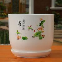 加大加厚pp树脂环保塑料花盆大号绿萝碗莲睡莲荷花无孔水培花盆|荷花盆[无孔可水培] 中号两个装[营养液+碗莲种]