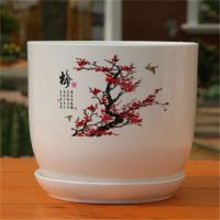 加大加厚pp树脂环保塑料花盆大号绿萝碗莲睡莲荷花无孔水培花盆|梅花盆[有孔] 特小号两个装[营养液+碗莲种]