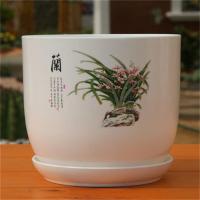 加大加厚pp树脂环保塑料花盆大号绿萝碗莲睡莲荷花无孔水培花盆|兰花盆[有孔] 特大号两个装[营养液+碗莲种]