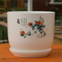 加大加厚pp树脂环保塑料花盆大号绿萝碗莲睡莲荷花无孔水培花盆|菊花盆[有孔] 特大号两个装[营养液+碗莲种]