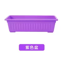 抢!种菜盆阳台家用花盆种花种菜箱花架特价特大号长方形塑料盆|紫色盆不带托盘[破损包赔] 大号