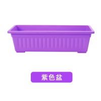 抢!种菜盆阳台家用花盆种花种菜箱花架特价特大号长方形塑料盆|紫色盆不带托盘[破损包赔] 大号长43厘米[3个装]