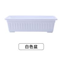 抢!种菜盆阳台家用花盆种花种菜箱花架特价特大号长方形塑料盆|白色盆不带托盘[用料] 特大号