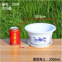 花盆塑料种菜盆多肉植物绿植盆栽花卉水培盆|5个盆+托盘+种子+生根粉 型号280-白色