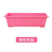 抢!种菜盆阳台家用花盆种花种菜箱花架特价特大号长方形塑料盆|粉红盆不带托盘[品质无忧] 大号长43厘米[3个装]