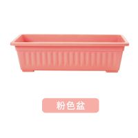 抢!种菜盆阳台家用花盆种花种菜箱花架特价特大号长方形塑料盆|粉色盆不带托盘[健康环保] 大号长43厘米[3个装]