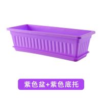 抢!种菜盆阳台家用花盆种花种菜箱花架特价特大号长方形塑料盆|紫色花盆+托盘[工厂直销] 特大号