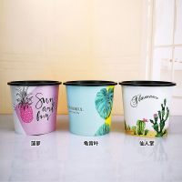 自动吸水花盆网红ins风绿萝专用肉肉植物大免浇水北欧室内懒人盆|大:菠萝龟背叶仙人掌(送绳)3套