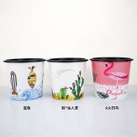 自动吸水花盆网红ins风绿萝专用肉肉植物大免浇水北欧室内懒人盆|大:富鱼仙人掌A火烈鸟(送绳)3套