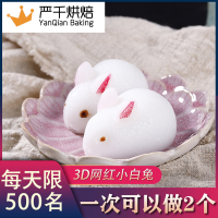 网红3d兔子奶冻模具小兔子果冻硅胶布丁慕斯磨具小白兔玉兔蛋糕|小号白兔2连模具（特价款限量5份拍多不发货）