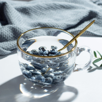 大容量简约玻璃杯金边牛奶杯燕麦杯子带把泡茶杯耐热学生办公家用