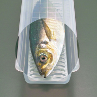 家用冰箱塑料密封收纳盒长方形鱼肉水果食品盒沥水冷冻盒子