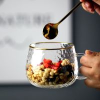 日式耐温玻璃杯锤目纹金边酸奶早餐杯带手柄家用茶杯水杯咖啡杯