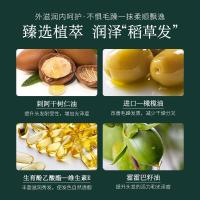 30/瓶 []护发精油 油橄榄植物精油滋润发丝毛躁奢润护发精油