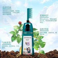 [上市]一梳色染发剂美发产品植物无氨染发梳一支彩染发膏