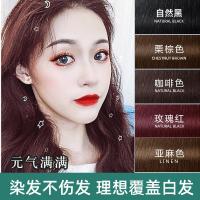 [上市]广州白云山一梳黑盖白发染发剂自己轻松染一梳彩染发膏