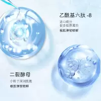 [新品]酵母大白灯全脸淡纹眼霜