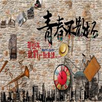 背景布间3d窗帘室内端女生网红主播墙纸2019新款背景墙|2米宽2米(15)