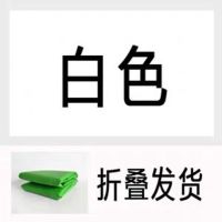 拍照背景布抠图抠布主播加厚无纺布像绿幕布2x3背景|白色 3x2.5米折叠发货