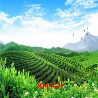 星光19年新款风景主播背景背景布快手布主播背景布火山视频|XH-571 2米*1.8米（卷发无折痕）