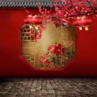 背景布汉服拍摄古韵中摄影背景纸新款网络全家福古装主播|xwf402 宽1X1.5米