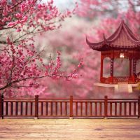 背景布汉服拍摄古韵中摄影背景纸新款网络全家福古装主播|xw3404 宽1.5X2米