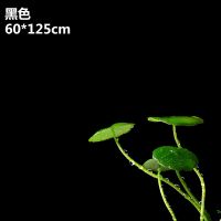 摄影黑植绒布吸光布拍照背景布拍摄不反光加厚专业摄影棚道具器材|60x125cm黑色