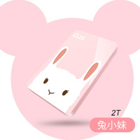 硬移动盘3.0320g移动盘500g外置移动硬盘1t移动2t外接|兔小妹2T 标配