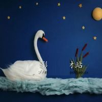 摄影背景纸百天宝宝拍照背景布影楼新生儿照相生日满月照儿童拍摄|4 1.2X1.5写真布