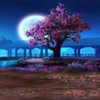 影楼背景布古典主播背景主题中式古风古装婚纱摄影服装拍照|gc-2204 1.5x3米