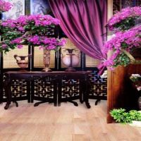 影楼背景布古典主播背景主题中式古风古装婚纱摄影服装拍照|gc-2916 1x1.5米