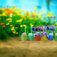 韩版宠物儿童背景新款影楼婴幼儿百天拍照迷你小背景布摄影写真布|gc-1158 宽1.5x2米