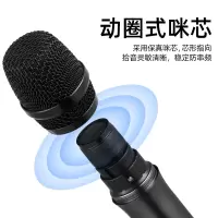 舞台专业段家用调频唱歌k歌麦克风户外无线话筒音响会议一拖二u卡拉ok演出通用